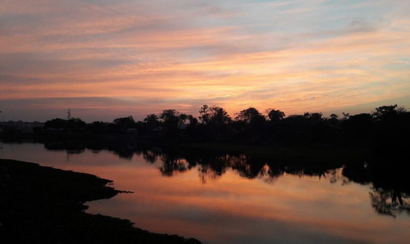 Beautiful Nature Photography of Assam