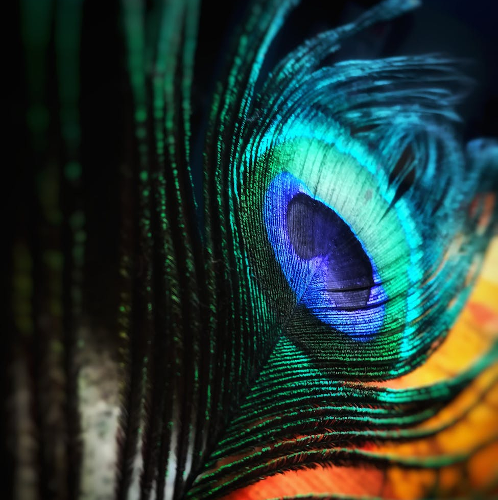 What is Sanatana Dharma? सनातन धर्म क्या है?