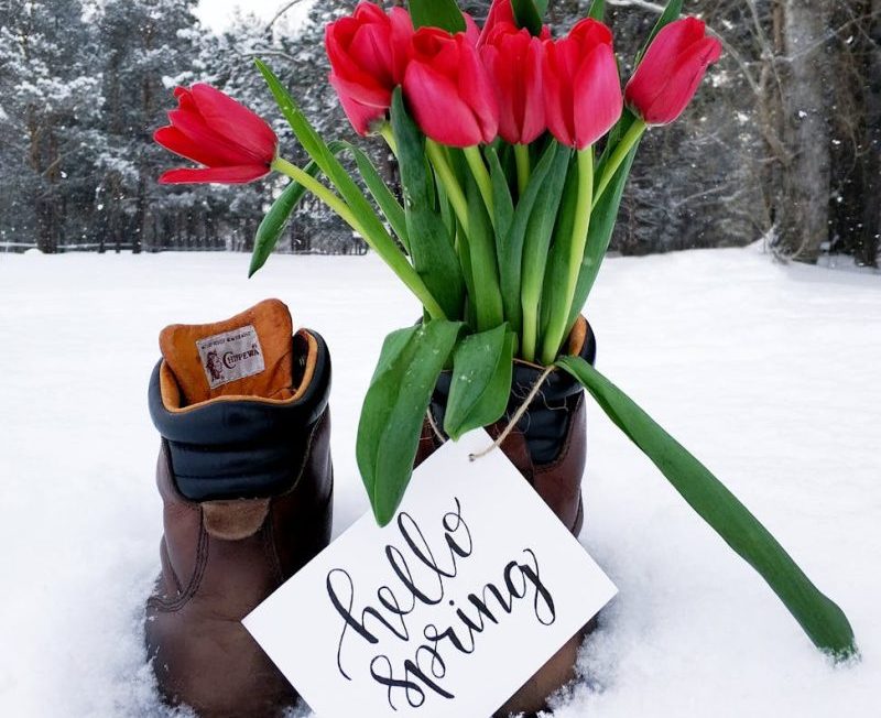 First Day of Spring 2025: Traditions, Facts, and Fun Ideas