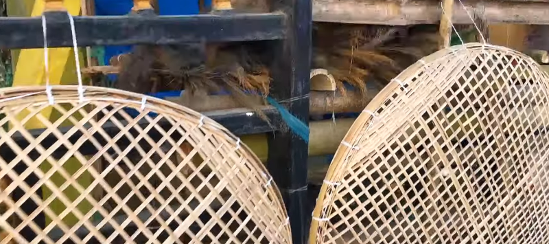 Jonbeel Mela of Assam: A Living Festival of Trade and Unity